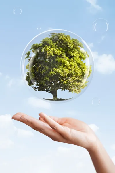 Main portant aidant une bulle rempli d'un arbreun arbre